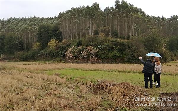 圣方济各堂区陈老师带着爱徒寻龙点穴